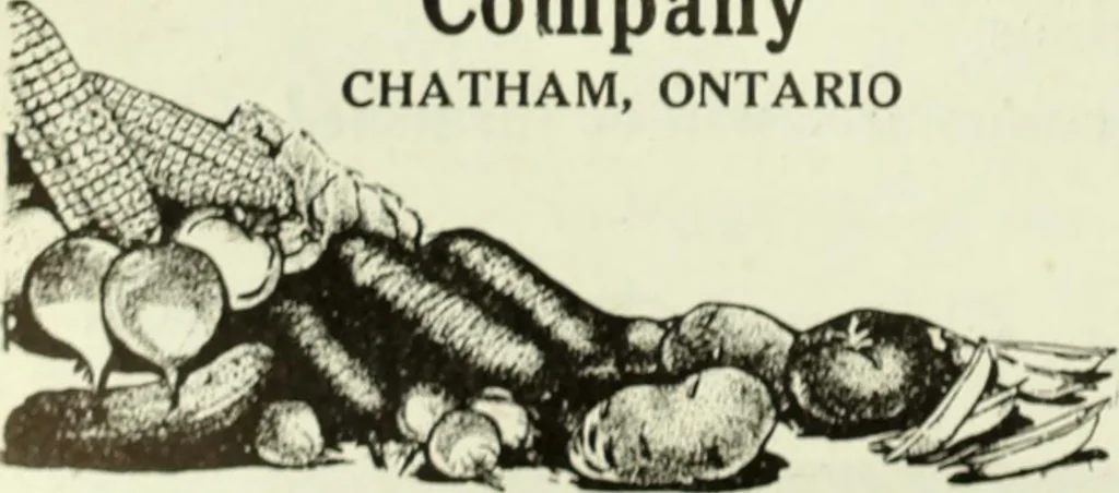 An illustration from Men's wear of Canada (January-December 1918), 1918, leaf 403