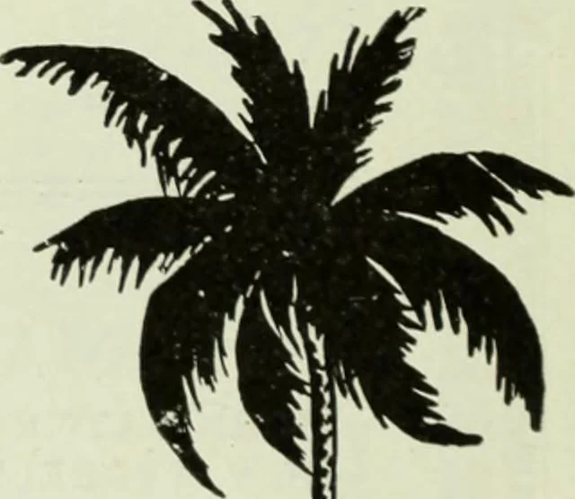 An illustration from Men's wear of Canada (January-December 1918), 1918, leaf 421