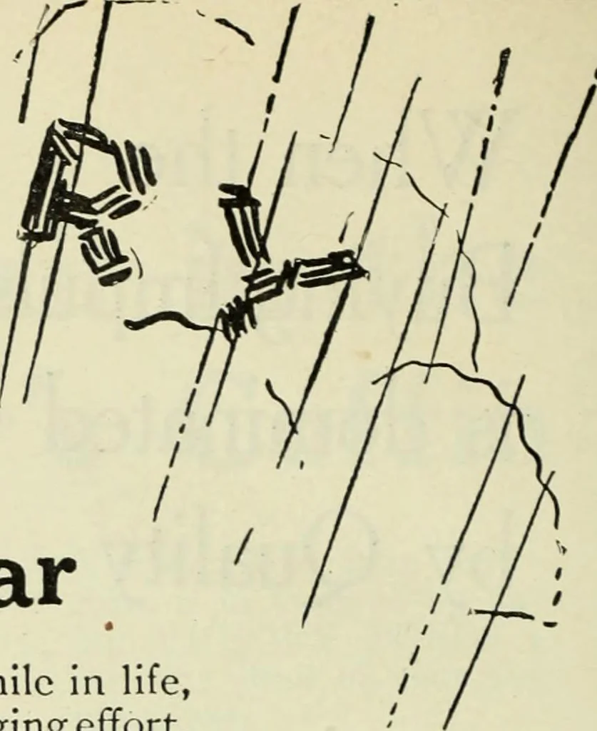 An illustration from Men's wear of Canada (January-December 1918), 1918, leaf 829