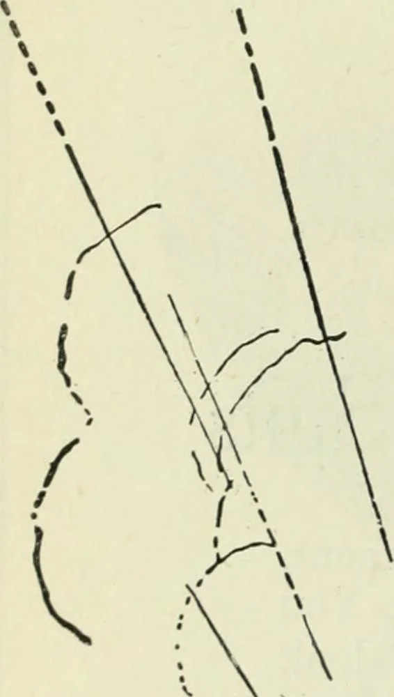 An illustration from Men's wear of Canada (January-December 1918), 1918, leaf 829