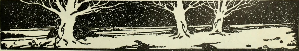 An illustration from Men's wear of Canada (January-December 1918), 1918, leaf 862