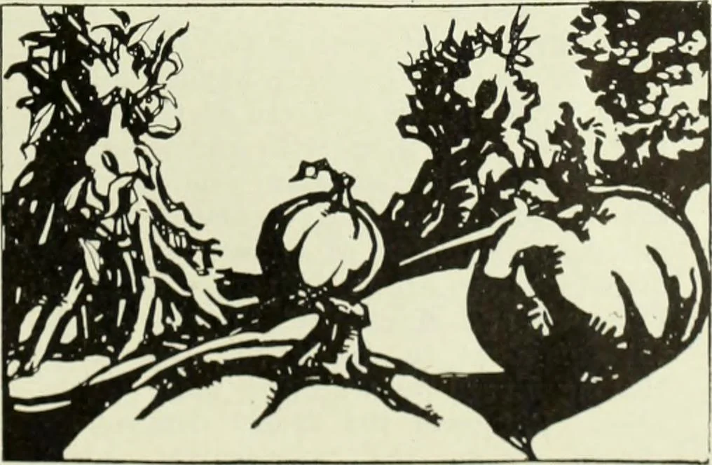 An illustration from Men's wear of Canada (January-December 1918), 1918, leaf 878