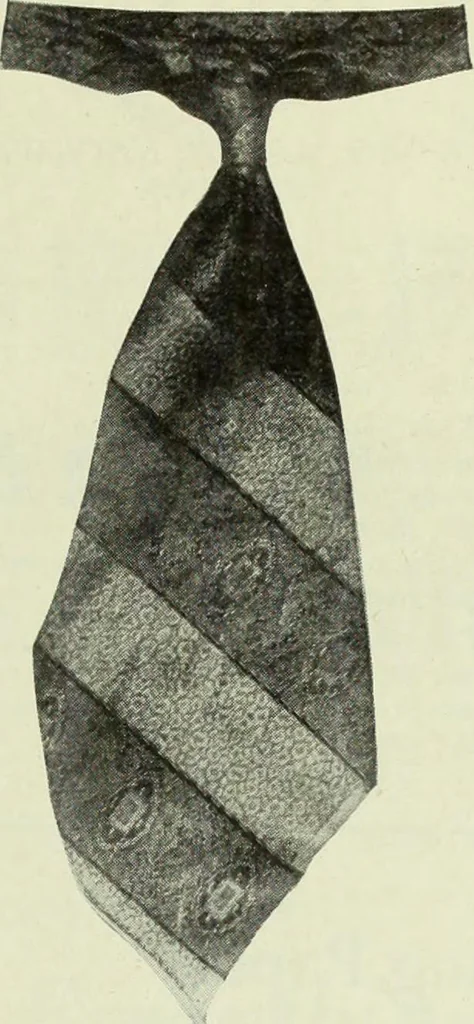 An illustration from Men's wear of Canada (January-December 1918), 1918, leaf 882