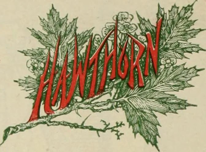 An illustration from Men's wear of Canada (January-December 1919), 1919, leaf 1005