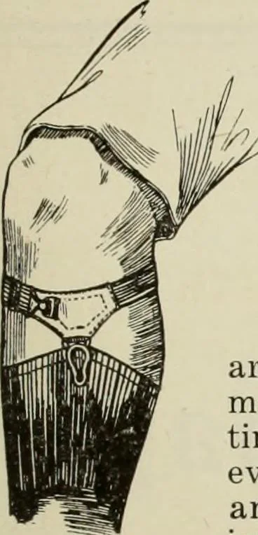 An illustration from Men's wear of Canada (January-December 1919), 1919, leaf 102