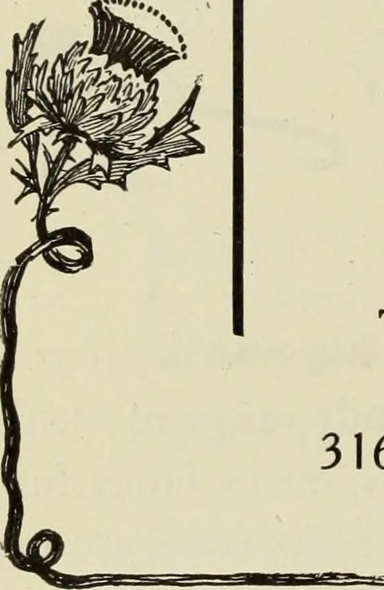 An illustration from Men's wear of Canada (January-December 1919), 1919, leaf 1057