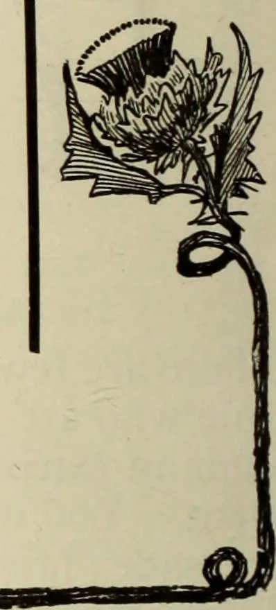 An illustration from Men's wear of Canada (January-December 1919), 1919, leaf 1057
