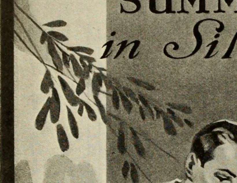 An illustration from Men's wear of Canada (January-December 1919), 1919, leaf 383
