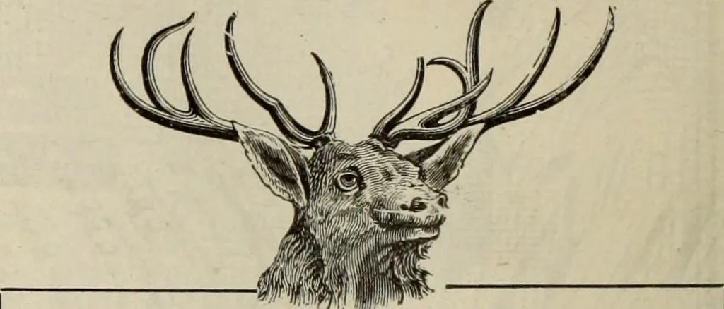An illustration from Men's wear of Canada (January-December 1919), 1919, leaf 393