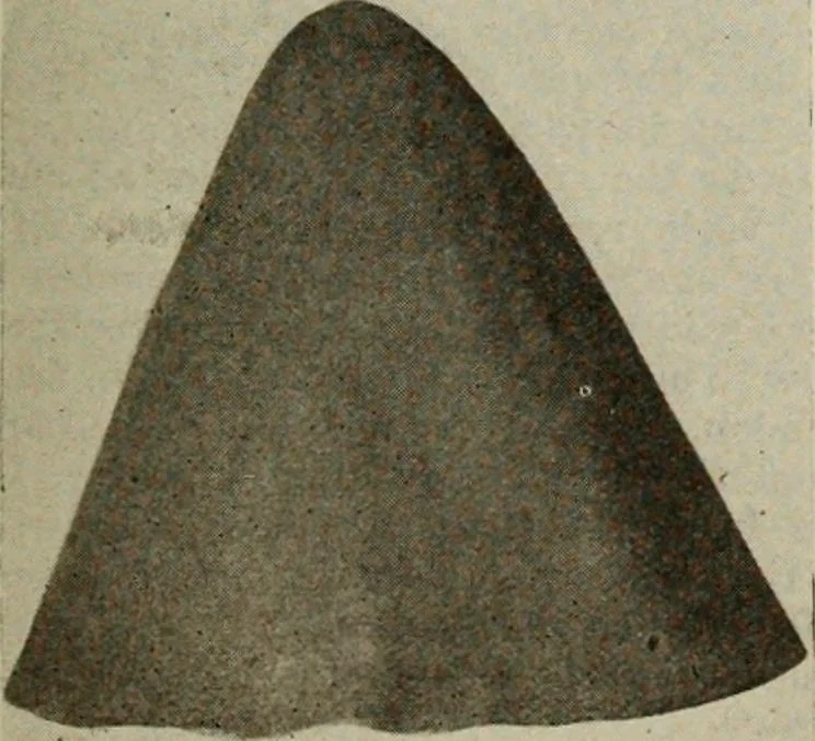 An illustration from Men's wear of Canada (January-December 1919), 1919, leaf 430