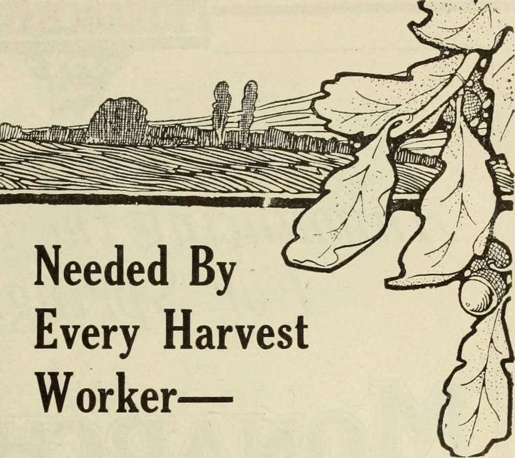 An illustration from Men's wear of Canada (January-December 1919), 1919, leaf 622
