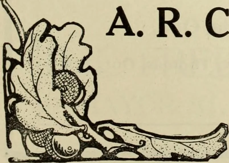 An illustration from Men's wear of Canada (January-December 1919), 1919, leaf 622