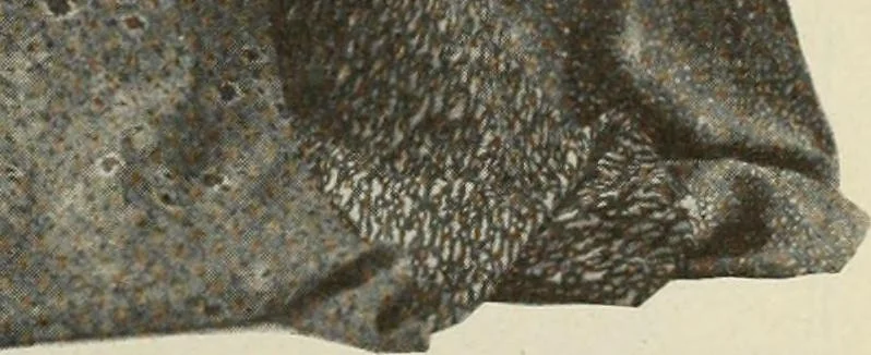An illustration from Men's wear of Canada (January-December 1919), 1919, leaf 74