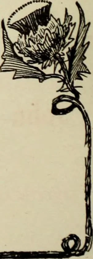 An illustration from Men's wear of Canada (January-December 1919), 1919, leaf 817