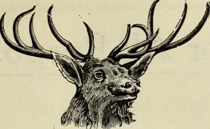 An illustration from Men's wear of Canada (January-December 1919), 1919, leaf 832