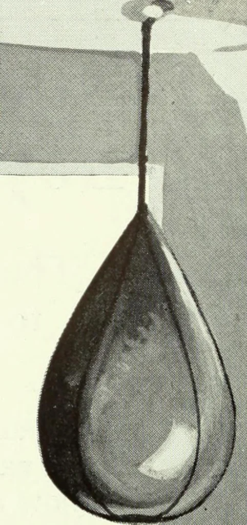 An illustration from Men's wear of Canada (January-December 1920), 1920, leaf 1081