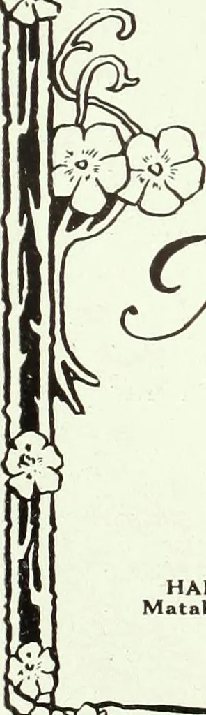 An illustration from Men's wear of Canada (January-December 1920), 1920, leaf 1107