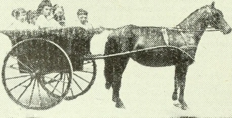 An illustration from Men's wear of Canada (January-December 1920), 1920, leaf 1144