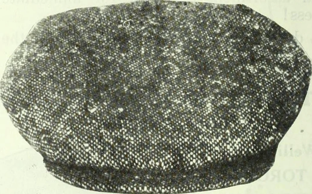 An illustration from Men's wear of Canada (January-December 1920), 1920, leaf 179