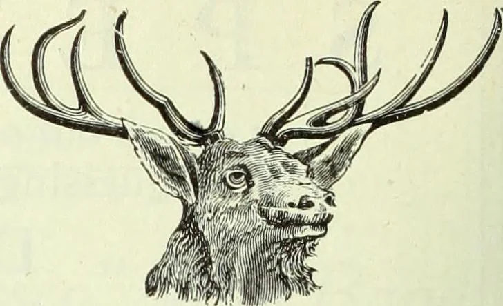 An illustration from Men's wear of Canada (January-December 1920), 1920, leaf 221