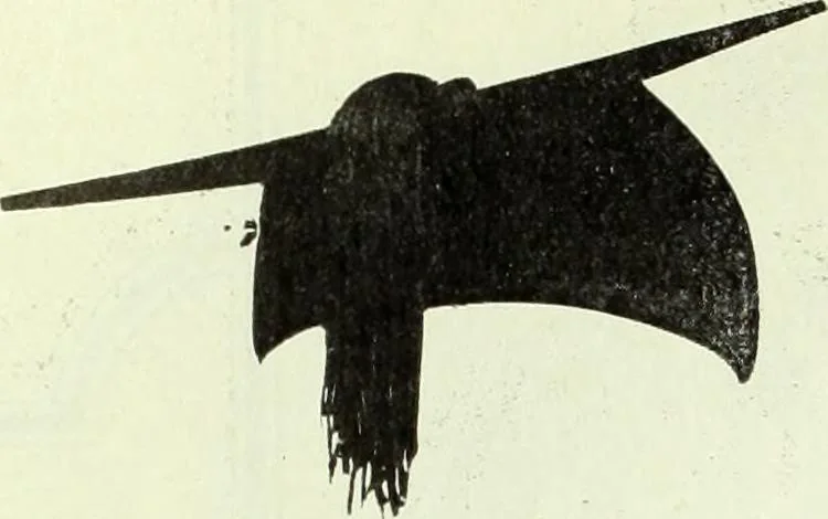 An illustration from Men's wear of Canada (January-December 1920), 1920, leaf 225