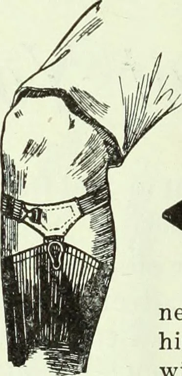 An illustration from Men's wear of Canada (January-December 1920), 1920, leaf 25