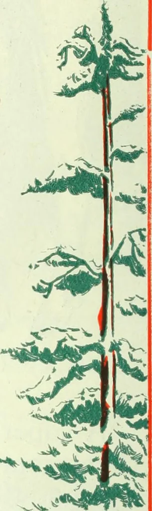 An illustration from Men's wear of Canada (January-December 1920), 1920, leaf 27