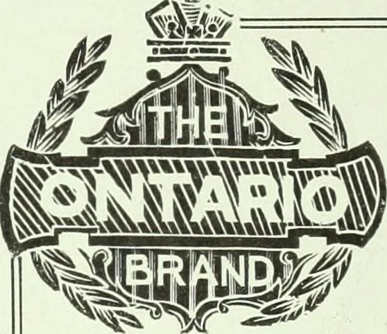 An illustration from Men's wear of Canada (January-December 1920), 1920, leaf 342