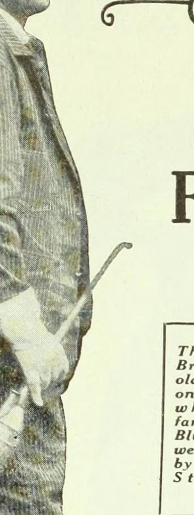 An illustration from Men's wear of Canada (January-December 1920), 1920, leaf 393