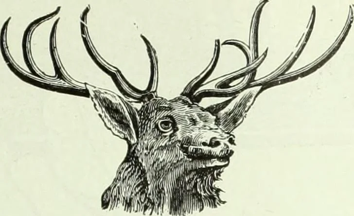 An illustration from Men's wear of Canada (January-December 1920), 1920, leaf 396