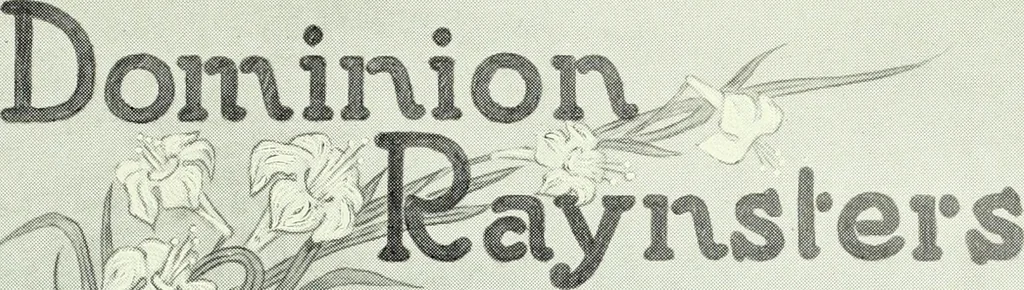 An illustration from Men's wear of Canada (January-December 1920), 1920, leaf 418