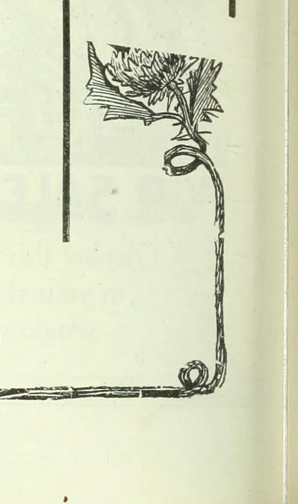 An illustration from Men's wear of Canada (January-December 1920), 1920, leaf 537