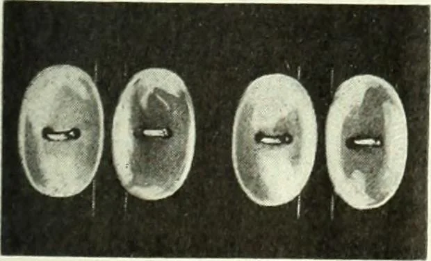 An illustration from Men's wear of Canada (January-December 1920), 1920, leaf 82
