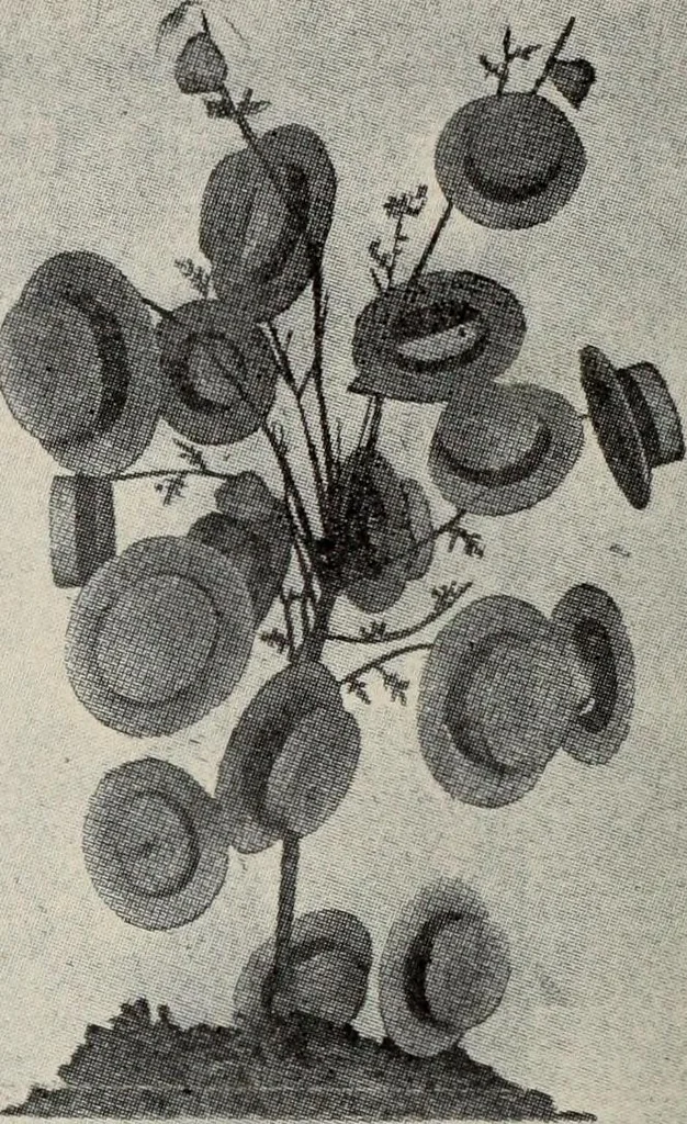 An illustration from Men's wear of Canada (January-December 1921), 1921, leaf 197