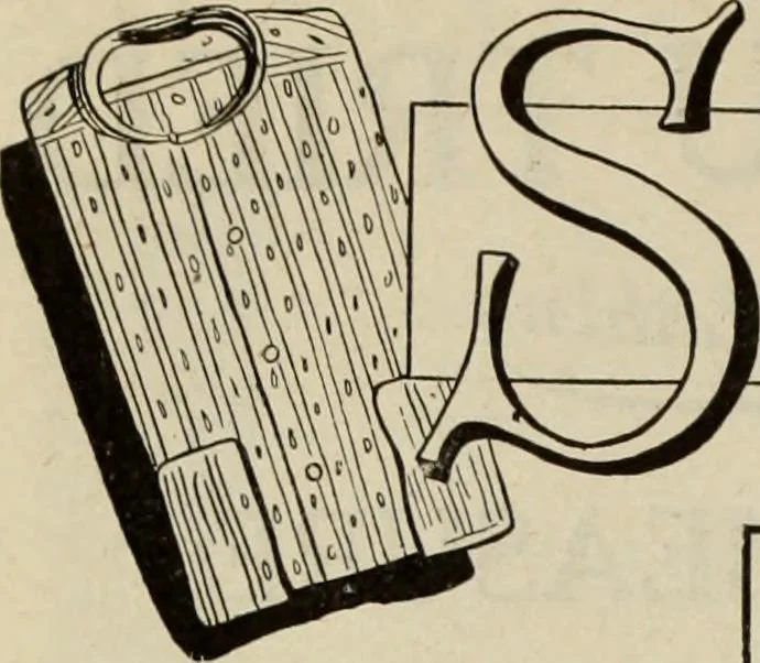 An illustration from Men's wear of Canada (January-December 1921), 1921, leaf 277