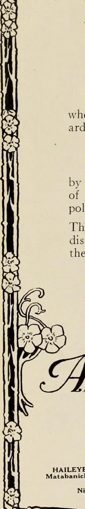 An illustration from Men's wear of Canada (January-December 1921), 1921, leaf 343