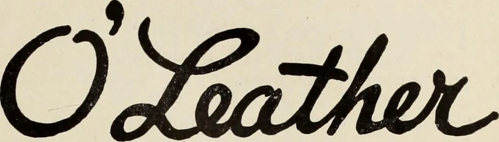 An illustration from Men's wear of Canada (January-December 1921), 1921, leaf 344