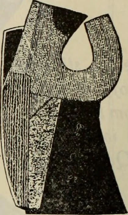 An illustration from Men's wear of Canada (January-December 1921), 1921, leaf 417