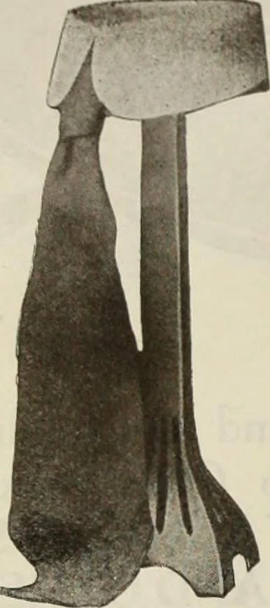 An illustration from Men's wear of Canada (January-December 1921), 1921, leaf 469