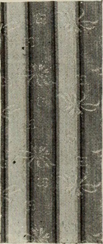 An illustration from Men's wear of Canada (January-December 1921), 1921, leaf 493