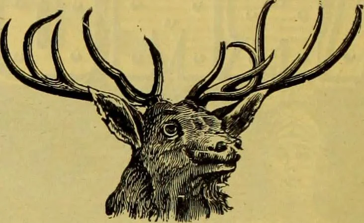 An illustration from Men's wear of Canada (January-December 1921), 1921, leaf 515