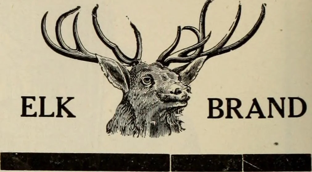 An illustration from Men's wear of Canada (January-December 1921), 1921, leaf 591