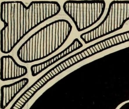 An illustration from Men's wear of Canada (January-December 1921), 1921, leaf 800