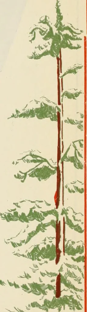An illustration from Men's wear of Canada (January-December 1921), 1921, leaf 814