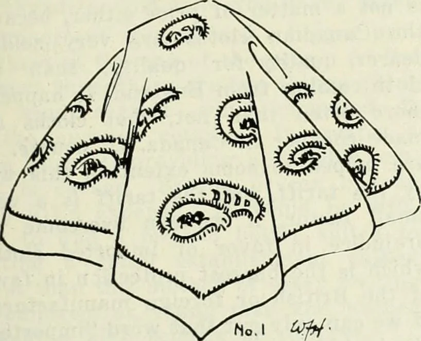 An illustration from Men's wear of Canada (January-December 1922), 1922, leaf 220