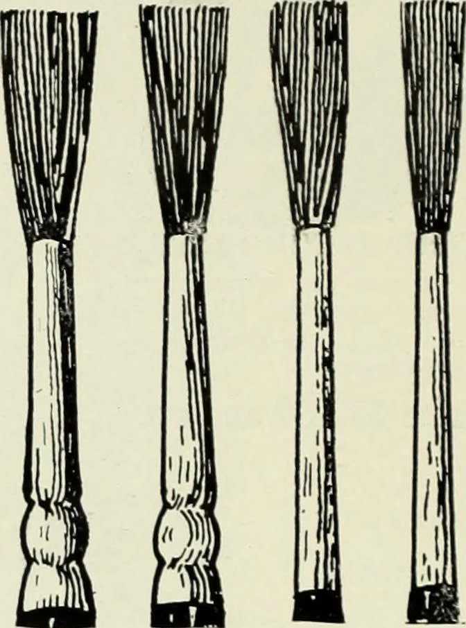 An illustration from Men's wear of Canada (January-December 1922), 1922, leaf 243