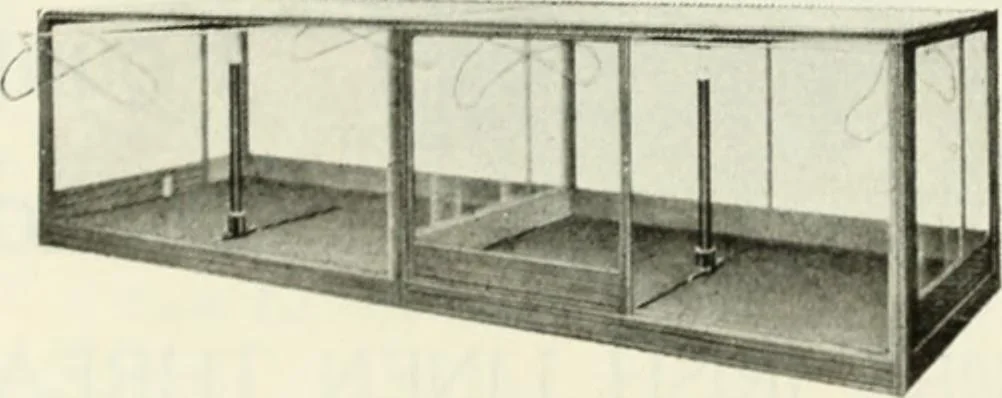 An illustration from Men's wear of Canada (January-December 1922), 1922, leaf 379