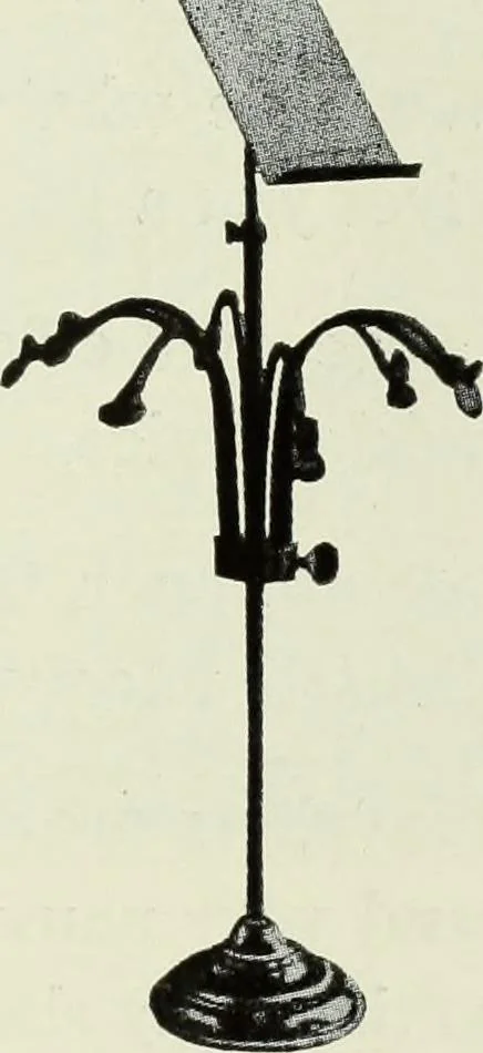 An illustration from Men's wear of Canada (January-December 1922), 1922, leaf 506