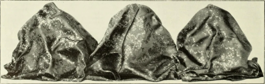 An illustration from Men's wear of Canada (January-December 1922), 1922, leaf 541