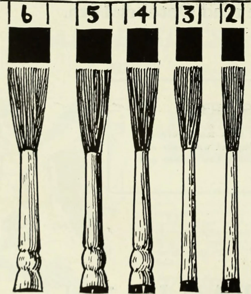 An illustration from Men's wear of Canada (January-December 1922), 1922, leaf 581